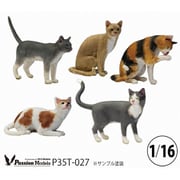 P35T-027 1/16 猫好きが認めるネコ 5種セット [組立式プラスチックモデル]