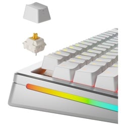 ヨドバシ.com - グロリアス Glorious Panda Switches - Standard