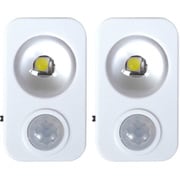 4377 [USB充電式ミニセンサーライト 2P 白色]