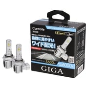 BW572 [GIGA LEDヘッド＆フォグバルブ C5500 6000K HB3/HB4]