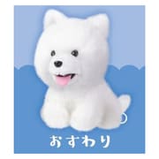 さみしがり屋サモエド ぬいぐるみ おすわり