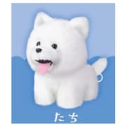 さみしがり屋サモエド ぬいぐるみ 立ち