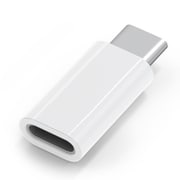 Lightning to USB Type-C 変換アダプタ USB PD60W ホワイト PG-LNC02WH