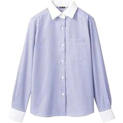 シャツ(レディス・長袖) 19号 ブルーストライプ BV2201-4