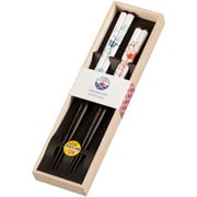 ついすと&ついすと クリアカバーギフト 23cm/21cm 2入 箸セット 日本製 709542