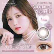 アーモンドプードル ワンデー 10枚入 -10.00 [カラーコンタクトレンズ]