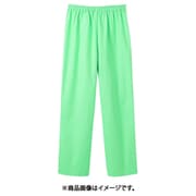手術下着(レディス・パンツ) M グリーン 58-075