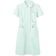 ナースワンピース(半袖) 6L ミント/白 73-1438