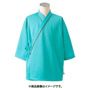 検診衣(男女兼用・8分袖)上衣 LL グリーン 79-505