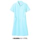 ナースワンピース（レディス・半袖） 9L サックス/白 73-1556
