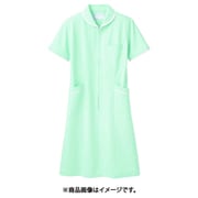 ナースワンピース(レディス・半袖) 9L ミント/白 73-1558