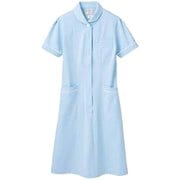 ナースワンピース(半袖) 9L サックス/白 73-1686