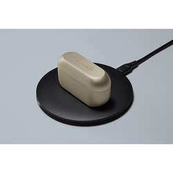 ヨドバシ.com - テクニクス Technics 完全ワイヤレスイヤホン