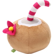 ループフレッシャー ココナッツ
