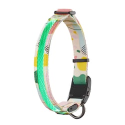ドッグネス LED首輪 XL アブストイエロー
