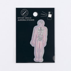オーロラステッカー（人類生物学/人体） ST-358