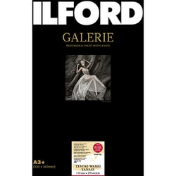 GALERIE（ギャラリー） TE-W YANASE 手漉き和紙「柳瀬」110 A3+デックル（耳付き） 10枚入 433382