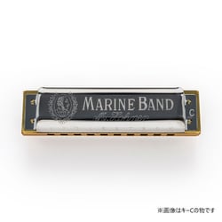 フェン　ハーモニカ ゼンオンピアニーの販売～HOHNER Melodica【ガッキコム】