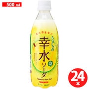 うましゅわ幸水ソーダ 500ml×24本 [炭酸飲料水]