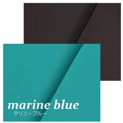 快適な涼しさと防水性をどこへでも ダブルラッセル生地使用 接触冷感＆高通気性ドライメッシュ マリン・ブルー ZBKW-CFB04