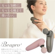 プレミアムビート マットブラック Beapro17