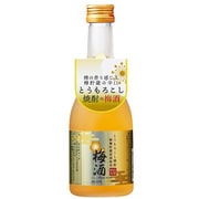 とうもろこし樫樽貯蔵 高千穂梅酒 12度 300ml [梅酒]