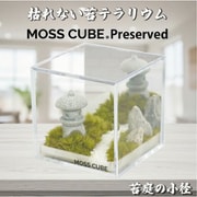 MCP-001 [MOSS CUBE（R） Preserved 苔庭の小径]