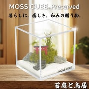 MCP-002 [MOSS CUBE（R） Preserved 苔庭と鳥居]