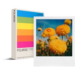 ヨハン ポラロイド 専用 3枚 Amazon.co.jp: Polaroid(ポラロイド) フォトフレーム 3個入
