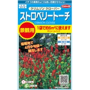 景観用大袋 ストロベリートーチ クリムゾンクローバー 1袋