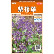 紫花菜 1袋