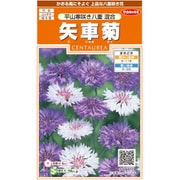 矢車菊 平山寒咲き八重混合 1袋