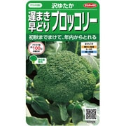 遅まき早どりブロッコリー 沢ゆたか 1袋