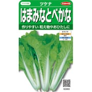はまみなとべかな ツケナ 1袋