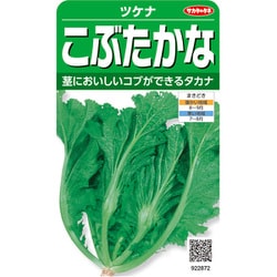 こぶたかな ツケナ 1袋