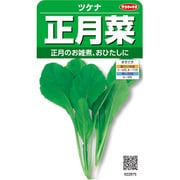 正月菜 ツケナ 1袋