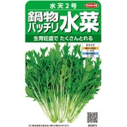 ミズナ 鍋物バッチリ水菜 水天2号 1袋