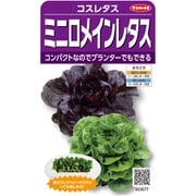 レタス ミニロメインレタスミックス 1袋