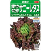 サニーレタス 四季紅 1袋