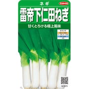 雷帝下仁田ねぎ ネギ 1袋