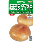 あまうまタマネギ 貝塚早生 1袋