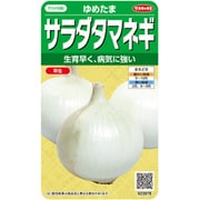 サラダタマネギ ゆめたま 1袋