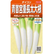 青首宮重長太大根 ダイコン 1袋