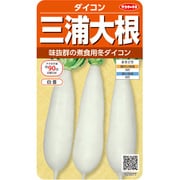 ダイコン 三浦大根 1袋