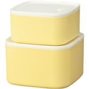 保存容器 さっと洗える保存容器 角 2個セット イエロー 30498
