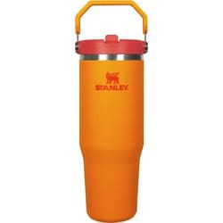 アイスフローフリップストロー真空タンブラー2.0 0.88L ゴールデンロッドコーラル 12043-200