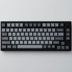 ゲーミングキーボード ラピッドトリガー搭載 磁気式スイッチ 有線 英語配列 75％ ブラック VM-75HEBK