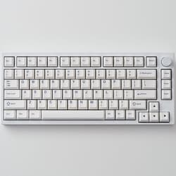 ゲーミングキーボード ラピッドトリガー搭載 磁気式スイッチ 有線 英語配列 75％ ホワイト VM-75HEWH