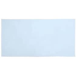 フェイスタオル Nカラー 34×80cm 2枚入 アイスブルー