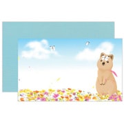 ミニカード クオッカ ア072